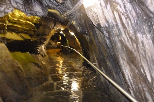 Ausflug nach Holthausen 2014