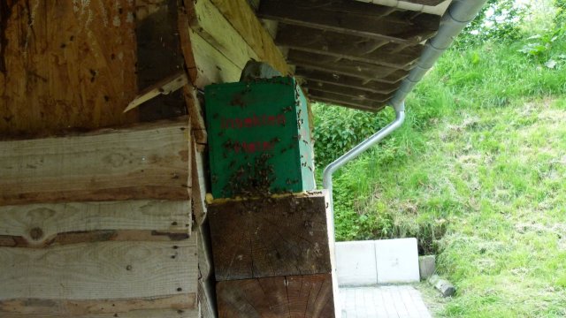 Kraeuterwanderung 2017