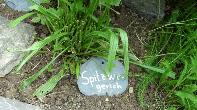 Kraeuterwanderung 2017