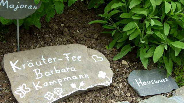 Kraeuterwanderung 2017