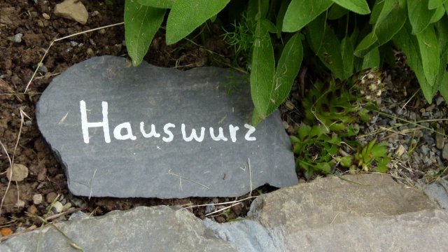 Kraeuterwanderung 2017