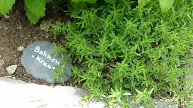 Kraeuterwanderung 2017