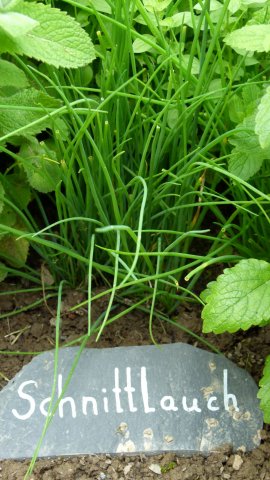 Kraeuterwanderung 2017