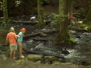 sommerlager_2009_in_westernohe_71_20090805_1046848180